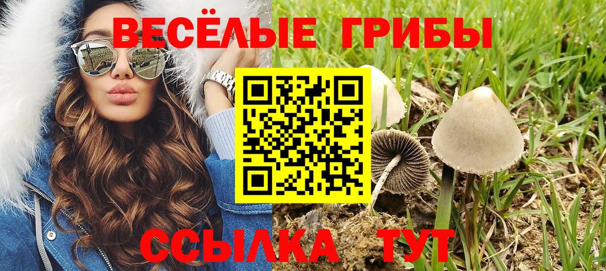 Пушкино  Псилоцибиновые грибы мицелий  Галлюциногенные грибы мицелий  Вход с VPN 