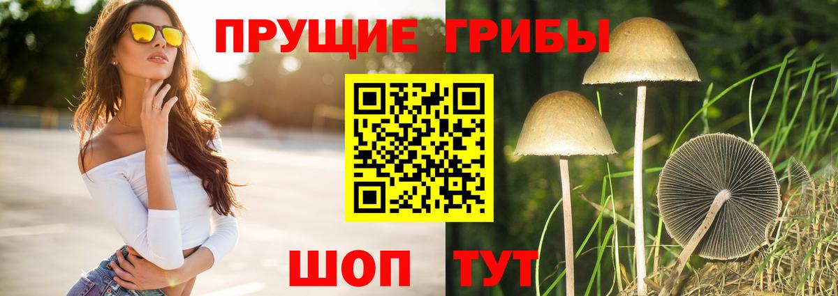 Псилоцибиновые грибы Magic Shrooms Пушкино